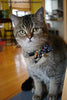 Necoichi Kimono - Collar para gato - BESTMASCOTA.COM