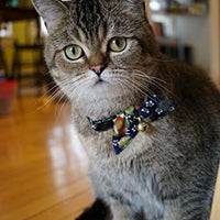 Necoichi Kimono - Collar para gato - BESTMASCOTA.COM