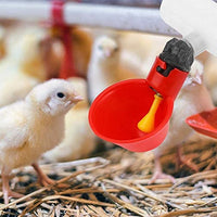 Vasos de plástico para pollo, 10 unidades, automáticos, para bebidas, para patios traseros, pájaros, codorniz, paloma, gallina, comedero de agua - BESTMASCOTA.COM