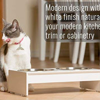 PetFusion - Cuencos elevados para perros, cuencos para gatos (4 pulgadas, 8 pulgadas de altura), bambú con sello resistente al agua. Cuencos elevados de acero inoxidable de grado alimenticio de EE. UU. - BESTMASCOTA.COM