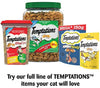 TEMPTATIONS Classic Crunchy and Soft Cat Treats, 30 oz. - BESTMASCOTA.COM