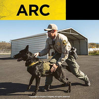 Dogtra sistema de collar con control remoto ARC para entrenamiento de mascotas color negro, Negro - BESTMASCOTA.COM