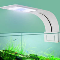 Lámpara LED para acuario de 10 W, muy delgada, 5730, para iluminación de plantas acuáticas (cuerpo blanco + luz azul) - BESTMASCOTA.COM