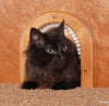 Cat Door Puerta de Interior con cepillo de limpieza para gatos - BESTMASCOTA.COM