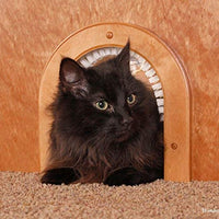 Cat Door Puerta de Interior con cepillo de limpieza para gatos - BESTMASCOTA.COM