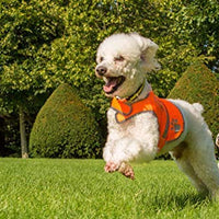 Chaleco reflectante de seguridad para perros, 5 tamaños para adaptarse a perros de 10 libras – 130 libras: alta visibilidad para actividades al aire libre día y noche, mantiene a tu perro visible, seguro de coches y accidentes de caza | Blaze Orange chale - BESTMASCOTA.COM