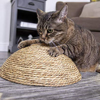 Petlinks - Rascador para gatos - BESTMASCOTA.COM