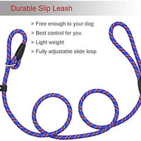 Correa Coolrunner collar de entrenamiento para mascota de Cesar el encantador de perros - BESTMASCOTA.COM