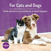 Halo Liv-a-Littles Wild Salmon Protein Treats - BESTMASCOTA.COM