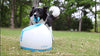 iFetch Interactive Ball Launchers for Dogs - BESTMASCOTA.COM