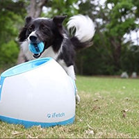 iFetch Interactive Ball Launchers for Dogs - BESTMASCOTA.COM