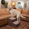 Pet Gear Easy Step II escaleras extra anchas para mascotas, 2 peldaños/para gatos y perros de hasta 200 libras - BESTMASCOTA.COM
