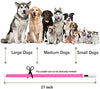 Collar LED para perro, recargable por USB, collar brillante para perro, cuello iluminado, mejora la seguridad y visibilidad de la mascota en la noche, 3 modos intermitentes, resistente al agua, collar iluminado para perros pequeños y medianos grandes - BESTMASCOTA.COM