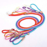 Correa Coolrunner collar de entrenamiento para mascota de Cesar el encantador de perros - BESTMASCOTA.COM