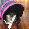 PetLike S Way - Túnel plegable para gato, juguete con bola - BESTMASCOTA.COM