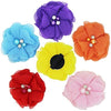 Collares de flores para mascotas, accesorios para gatos, - BESTMASCOTA.COM