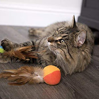 SmartyKat - Juguetes para gatos con plumas - BESTMASCOTA.COM