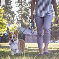 Friends Forever Correa extremadamente duradera para perro, de alta calidad, para escalada de montaña, fuerte, resistente y cómoda, soporta el tirón más fuerte de perros grandes y medianos. - BESTMASCOTA.COM