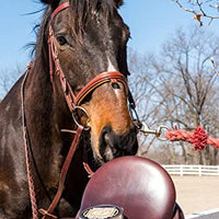 Jabón para cuero con lanolina Bickmore - BESTMASCOTA.COM