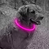 Collar de perro recargable por USB, LED, brilla en la oscuridad, collar para mascotas, resistente al agua, cortable, de TPU, para perros pequeños, medianos y grandes - BESTMASCOTA.COM