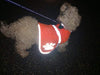 maggift perro chaleco reflectante para mascotas, chaleco de seguridad naranja - BESTMASCOTA.COM