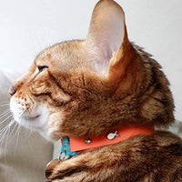 Collar de gato de Kittyrama. Ganador del premio. Como se ve en British Vogue. Otros estilos y colores disponibles. Para gatos adultos. - BESTMASCOTA.COM