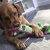 GoDog Skinny Dragons con protector para masticar, juguetes para perros de peluche duraderos con chirriadores - BESTMASCOTA.COM