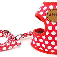 SMALLLEE_Lucky_Store - Conjunto de arnés de malla suave de nailon para mascotas, gatos - BESTMASCOTA.COM