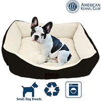 American Kennel Club - BESTMASCOTA.COM