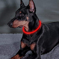 Collar de perro recargable por USB, LED, brilla en la oscuridad, collar para mascotas, resistente al agua, cortable, de TPU, para perros pequeños, medianos y grandes - BESTMASCOTA.COM