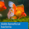 API DE PECES Acuario Limpiador - BESTMASCOTA.COM