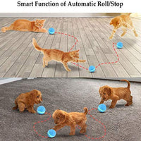 Versión mejorada 2.0: bolas blinkbrione para gatos y perros, enrollado automático/apagado automático, recargable por USB, pelota de juguete interactiva inteligente para gatitos, gatitos, cachorros con luces LED RGB, resistente al agua - BESTMASCOTA.COM