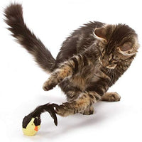 OurPets Play-N-Squeak - Juguete interactivo para gato, diseño de pájaros - BESTMASCOTA.COM