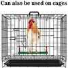 GABraden - Columpio de pollo natural esmerilado de madera colorida para gallinas, hecho a mano, juguete para pájaros, loros, gallinas, guacamayos, accesorios para gallineros - BESTMASCOTA.COM