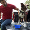 Franklin Pet Supply - Cuenco plegable para mascotas sin BPA, aprobado por la FDA – Perros – Gatos - BESTMASCOTA.COM