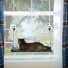 Fabricante K&H, Estante de montaje para ventana para gatito - BESTMASCOTA.COM