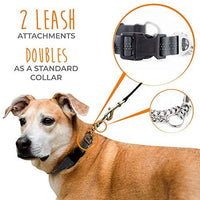 Collar de entrenamiento Mighty Paw, collar Martingale, calidad premium, limitado, collar cincha, collar reflectante para perros - BESTMASCOTA.COM