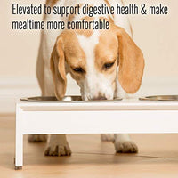 PetFusion - Cuencos elevados para perros, cuencos para gatos (4 pulgadas, 8 pulgadas de altura), bambú con sello resistente al agua. Cuencos elevados de acero inoxidable de grado alimenticio de EE. UU. - BESTMASCOTA.COM