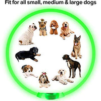 BSEEN Collar LED para perro, recargable por USB, collar brillante para perro para la seguridad nocturna, collar de moda para perros pequeños, medianos y grandes - BESTMASCOTA.COM