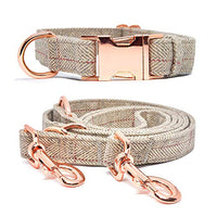 KUYOUGOU - Collar y correa para perro (6.6 ft), diseño elegante con juego de oro rosa, 3 longitudes ajustables, para perros pequeños a grandes - BESTMASCOTA.COM