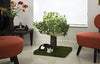 On2Pets Cat Condo Muebles - BESTMASCOTA.COM