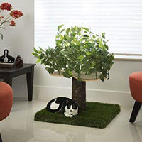 On2Pets Cat Condo Muebles - BESTMASCOTA.COM