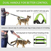 Correa para perro de LANNEY, manos libres, para correr, caminar, correr, entrenar senderismo, correa elástica retráctil para perros medianos a grandes, cinturón de cintura ajustable, costuras reflectantes, doble asa - BESTMASCOTA.COM