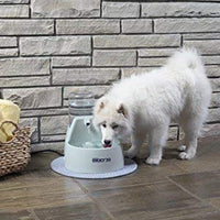 PetSafe Drinkwell 2 Gallon and Big Dog Pet Fountains - Automatic Dog and Cat Water Fountain - Best for Medium to Large Breeds and Multiple Pets - BESTMASCOTA.COM