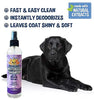 Champú para perros sin agua | Champú seco natural para perros o gatos no requiere enjuague | 100% no tóxico con extracto natural | Tratamiento aprobado por veterinarios - Fabricado en Estados Unidos - 1 botella de 8.1 fl oz - BESTMASCOTA.COM