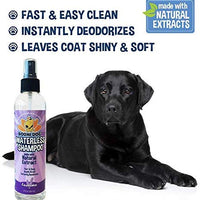 Champú para perros sin agua | Champú seco natural para perros o gatos no requiere enjuague | 100% no tóxico con extracto natural | Tratamiento aprobado por veterinarios - Fabricado en Estados Unidos - 1 botella de 8.1 fl oz - BESTMASCOTA.COM