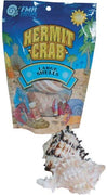 Carcasas para Hermit Crabs – Grande – 2 Pk - BESTMASCOTA.COM