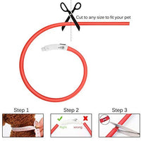Collar LED para perro, recargable por USB, collar brillante para perro, cuello iluminado, mejora la seguridad y visibilidad de la mascota en la noche, 3 modos intermitentes, resistente al agua, collar iluminado para perros pequeños y medianos grandes - BESTMASCOTA.COM
