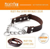 Mighty Paw Collar de cuero para entrenamiento, collar Martingale, cadena de acero inoxidable, calidad premium, collar de cadena limitada - BESTMASCOTA.COM