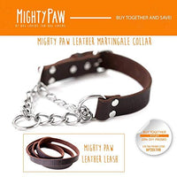 Mighty Paw Collar de cuero para entrenamiento, collar Martingale, cadena de acero inoxidable, calidad premium, collar de cadena limitada - BESTMASCOTA.COM